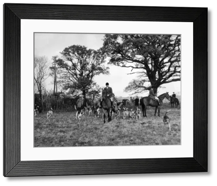 Framed Print : The Tickham Foxhounds Framed Print : The Tickham Foxhounds