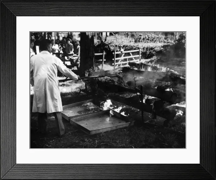 Framed Print : Ram Roasting Tradition