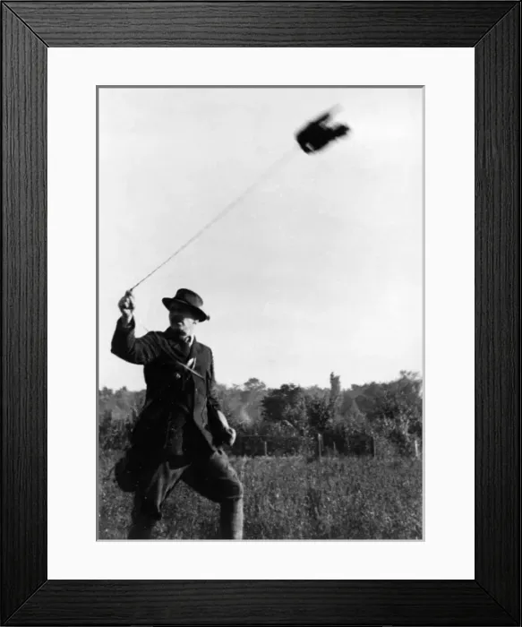 Framed Print : Falconry : Flying Framed Print : Falconry : Flying