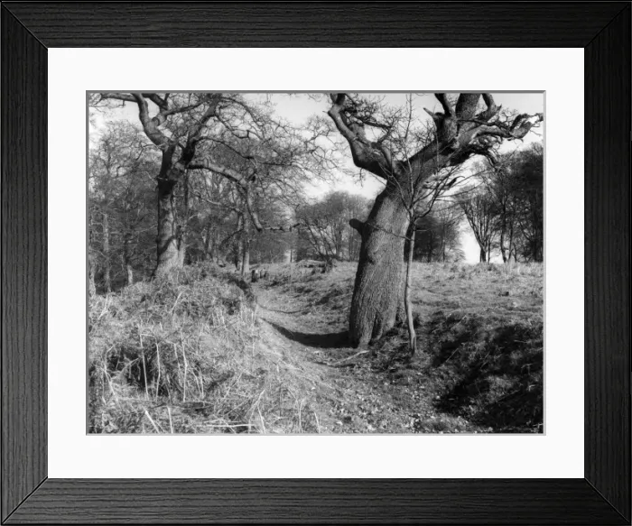 Framed Print : Roman Ditch Framed Print : Roman Ditch
