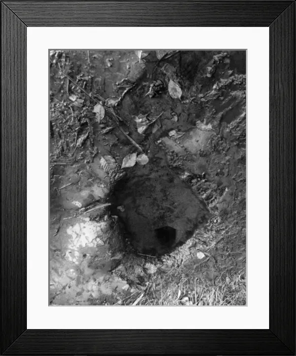 Framed Print : Wallace Heel Spring Framed Print : Wallace Heel Spring
