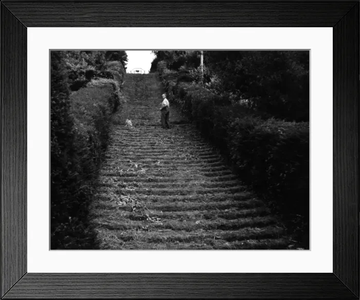 Framed Print : Milton Abbey Turf Steps Framed Print : Milton Abbey Turf Steps