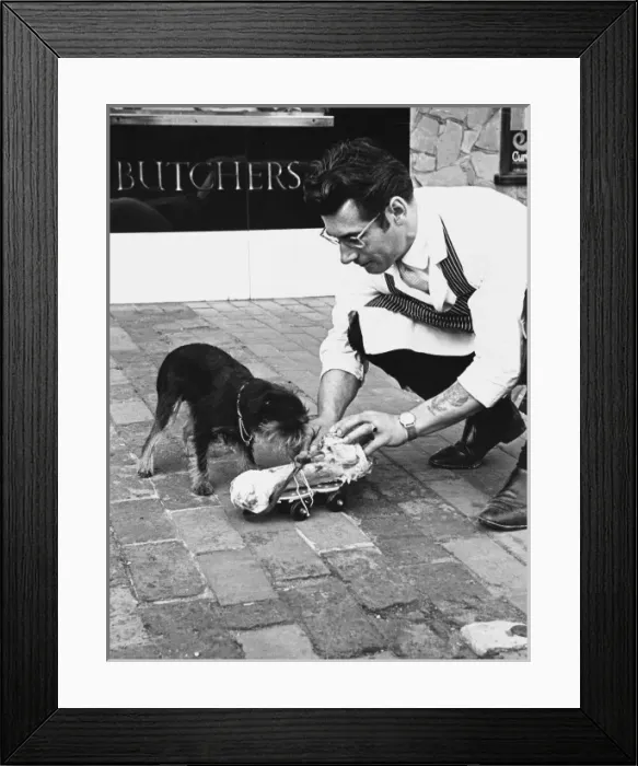 Framed Print : Dog & Bone on Skate Framed Print : Dog & Bone on Skate