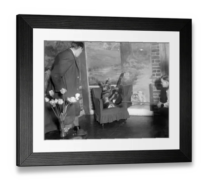 Framed Print : Doggy Guitarist Framed Print : Doggy Guitarist