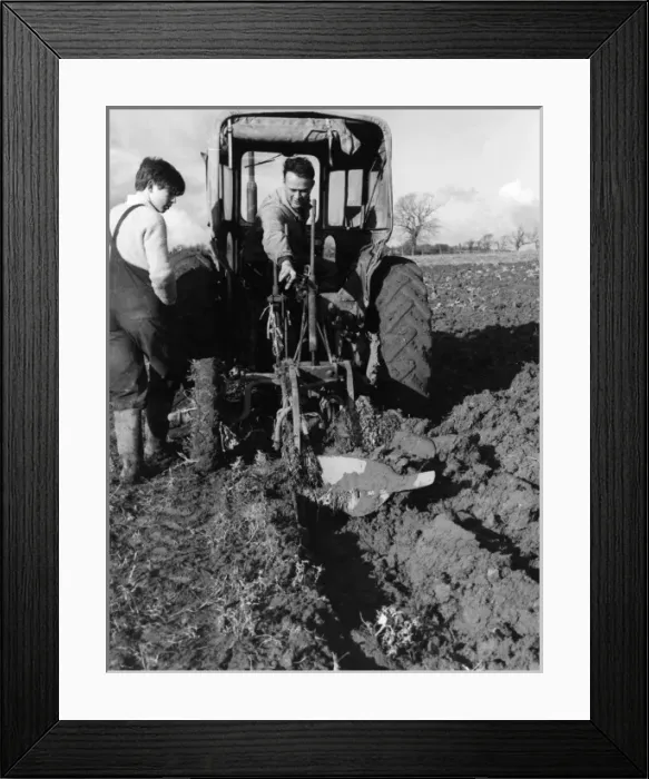 Framed Print : Ploughing Lesson Framed Print : Ploughing Lesson