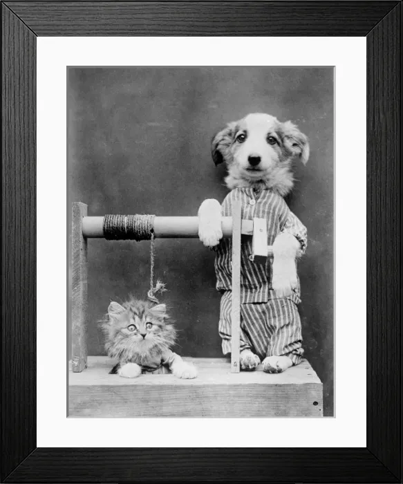 Framed Print : Pussy in the Well Framed Print : Pussy in the Well