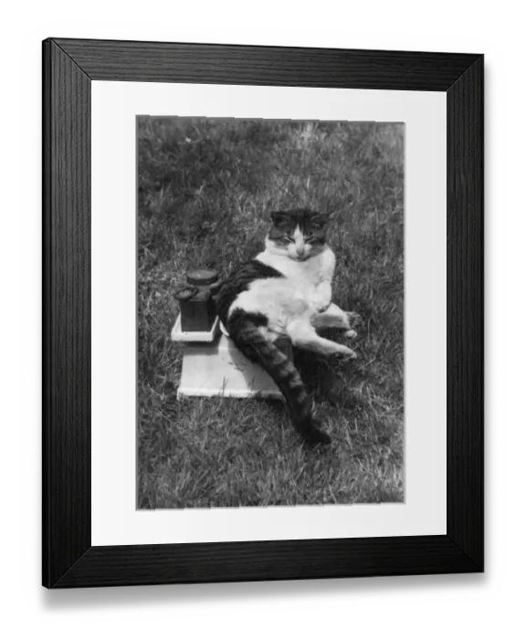 Framed Print : Picture No. 10180788 Framed Print : Picture No. 10180788