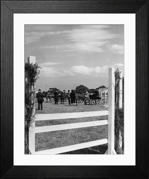 Framed Print : HACKNEY HORSE SHOW Framed Print : HACKNEY HORSE SHOW