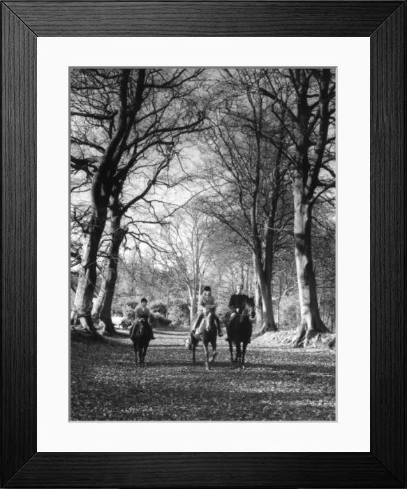 Framed Print : Girls Riding Horses Framed Print : Girls Riding Horses