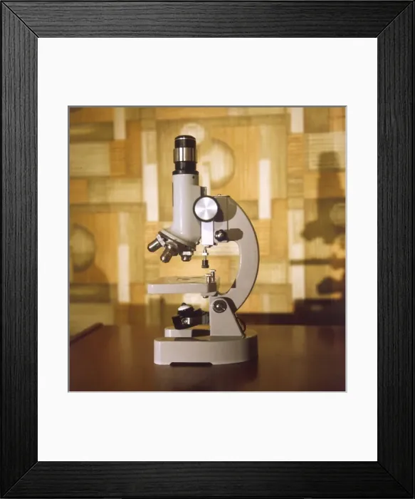 Framed Print : MICROSCOPE Framed Print : MICROSCOPE
