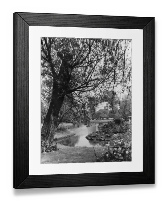 Framed Print : Regents Park Lake Framed Print : Regents Park Lake