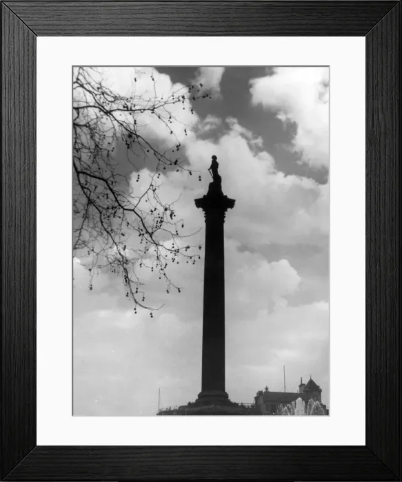 Framed Print : Nelsons Column Framed Print : Nelsons Column