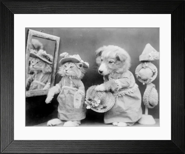 Framed Print : Cat in Hat Shop Framed Print : Cat in Hat Shop