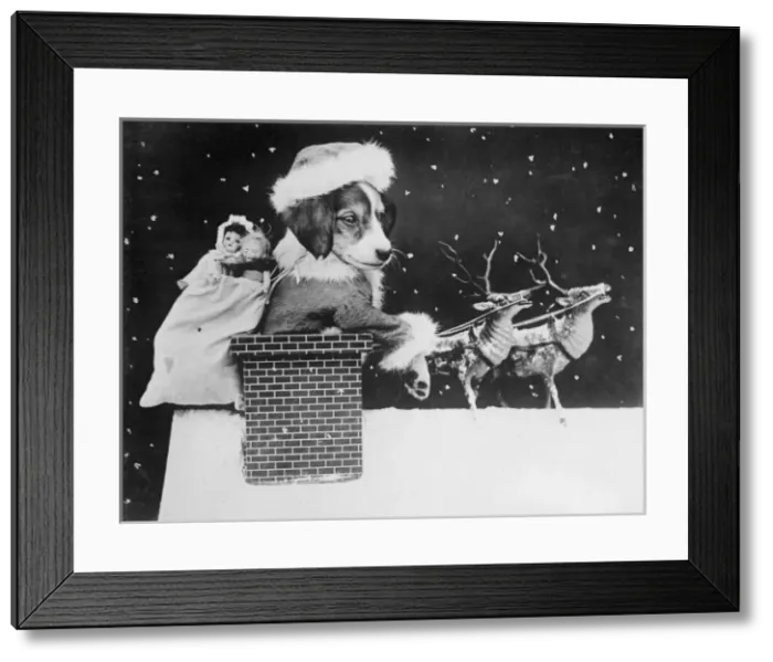 Framed Print : Doggy Santa Framed Print : Doggy Santa