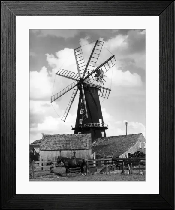 Framed Print : Picture No. 10180443 Framed Print : Picture No. 10180443