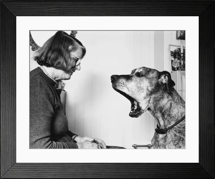 Framed Print : Barbara Woodhouse & Dog Framed Print : Barbara Woodhouse & Dog