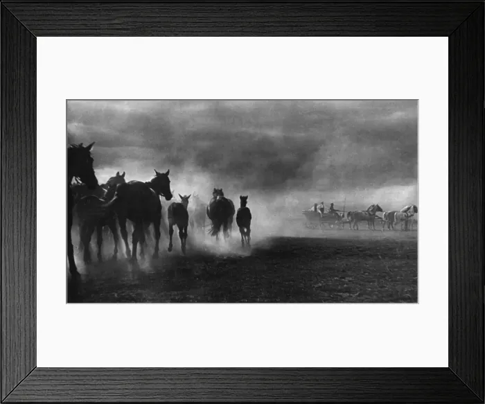 Framed Print : Horse Storm Framed Print : Horse Storm