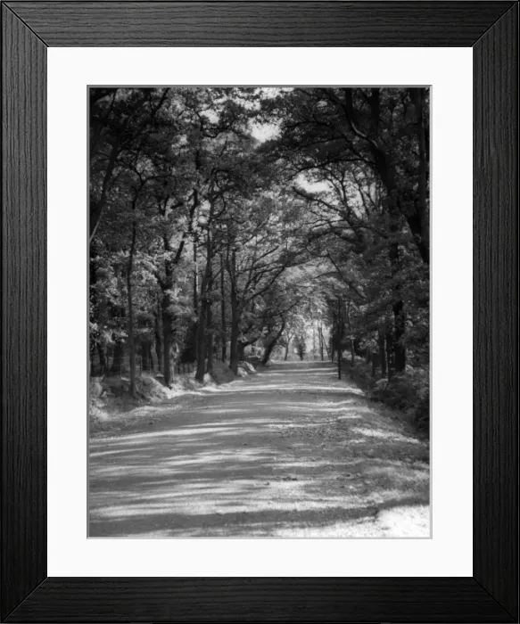Framed Print : Picture No. 10180498 Framed Print : Picture No. 10180498