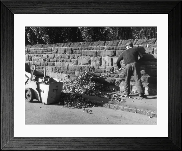 Framed Print : Autumn Leaves Framed Print : Autumn Leaves
