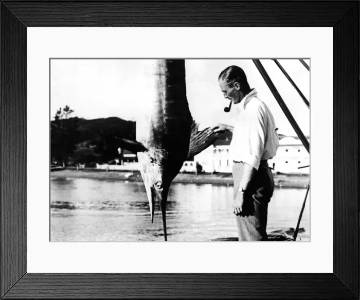 Framed Print : Kiwi Swordfish Catch Framed Print : Kiwi Swordfish Catch