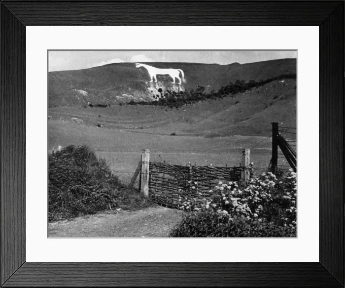 Framed Print : Westbury White Horse Framed Print : Westbury White Horse