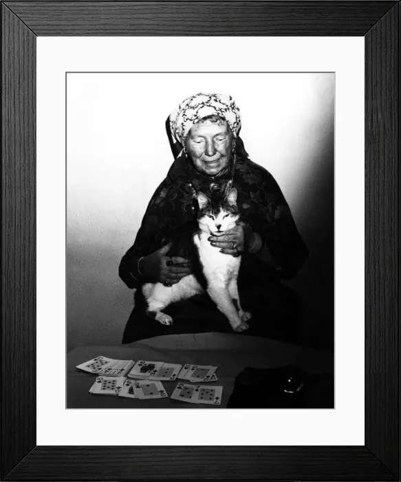Framed Print : Fortune Teller & Cat Framed Print : Fortune Teller & Cat