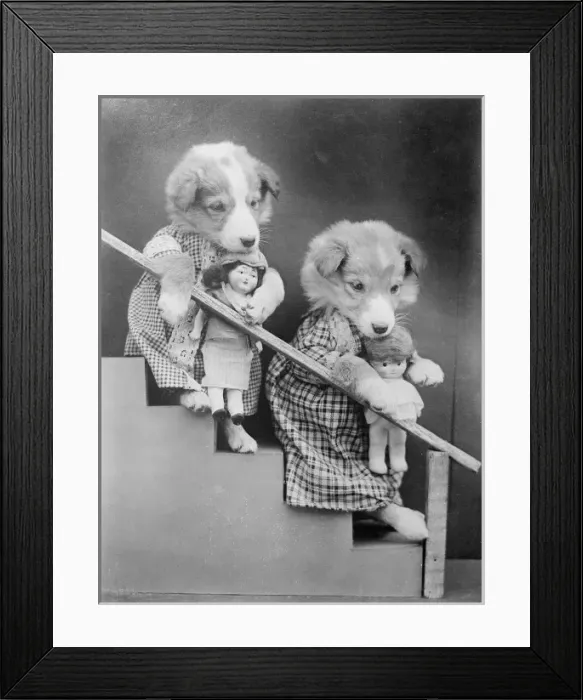 Framed Print : Girl Puppies and Dolls Framed Print : Girl Puppies and Dolls