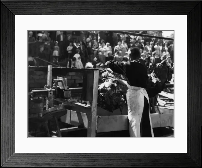 Framed Print : Ox-Roasting Ceremony Framed Print : Ox-Roasting Ceremony