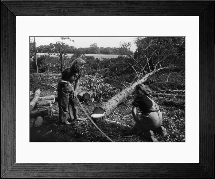 Framed Print : Land Girls with Logs Framed Print : Land Girls with Logs