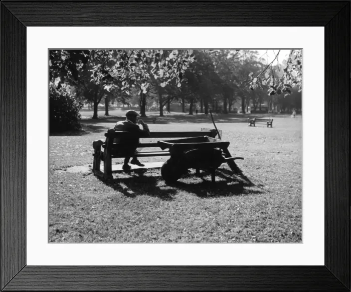 Framed Print : Autumn in the Park Framed Print : Autumn in the Park