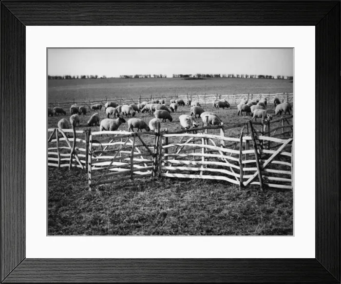 Framed Print : Picture No. 10180500 Framed Print : Picture No. 10180500