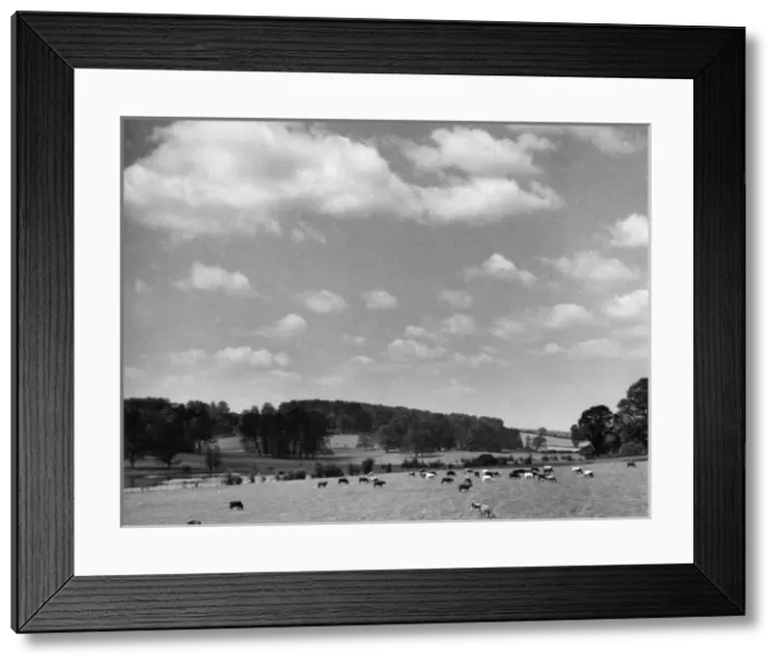 Framed Print : Shardlows Park Framed Print : Shardlows Park