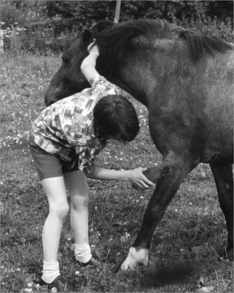 Grooming a Pony