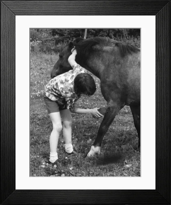 Framed Print : Grooming a Pony Framed Print : Grooming a Pony