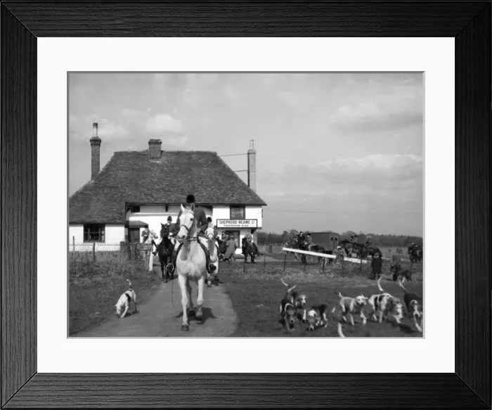 Framed Print : The Tickham Foxhounds Framed Print : The Tickham Foxhounds