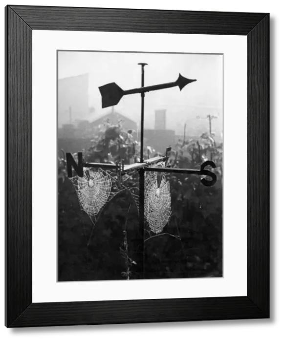 Framed Print : Weathervane & Web Framed Print : Weathervane & Web