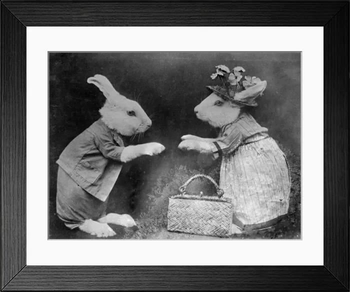 Framed Print : Rabbits and Handbag Framed Print : Rabbits and Handbag