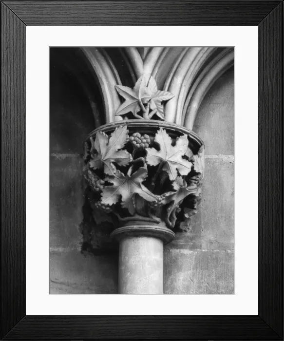 Framed Print : Leaf Capital Framed Print : Leaf Capital