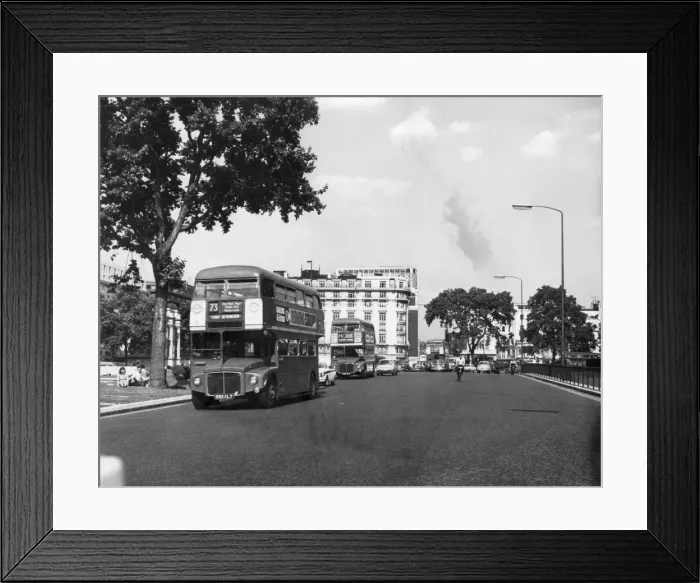 Framed Print : Three Buses at Once