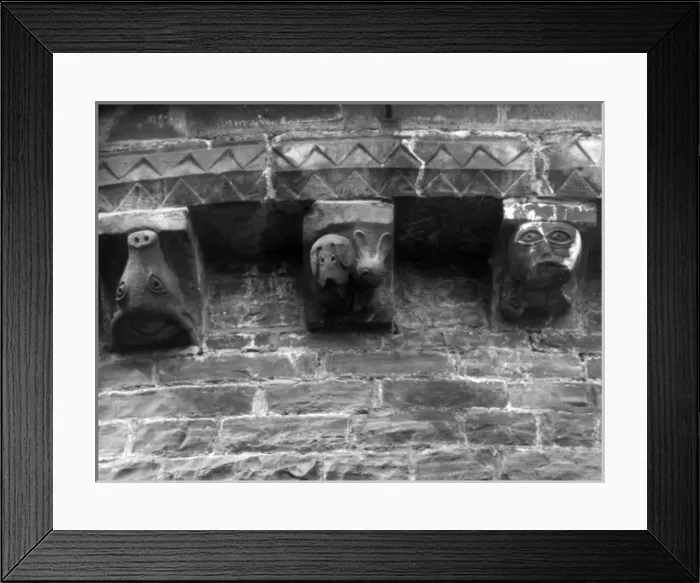 Framed Print : Comical Corbals Framed Print : Comical Corbals