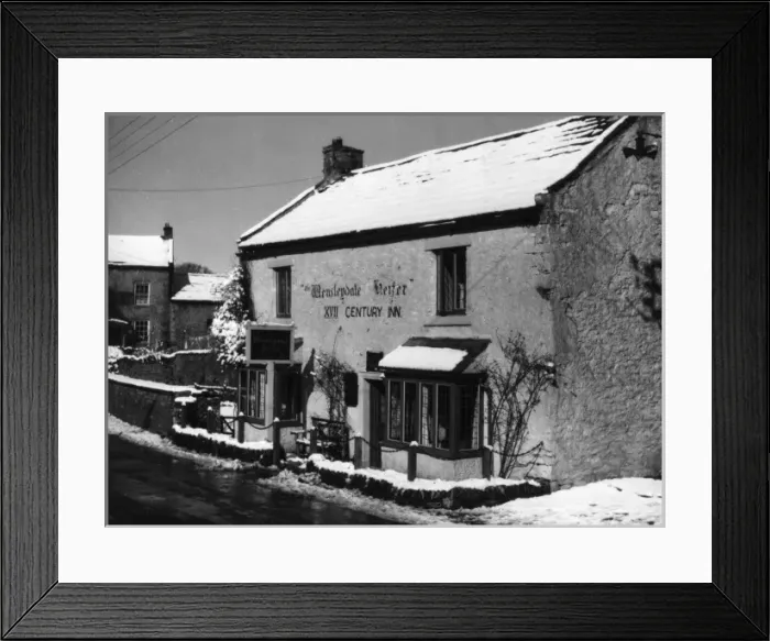 Framed Print : The Wensleydale Heifer Framed Print : The Wensleydale Heifer