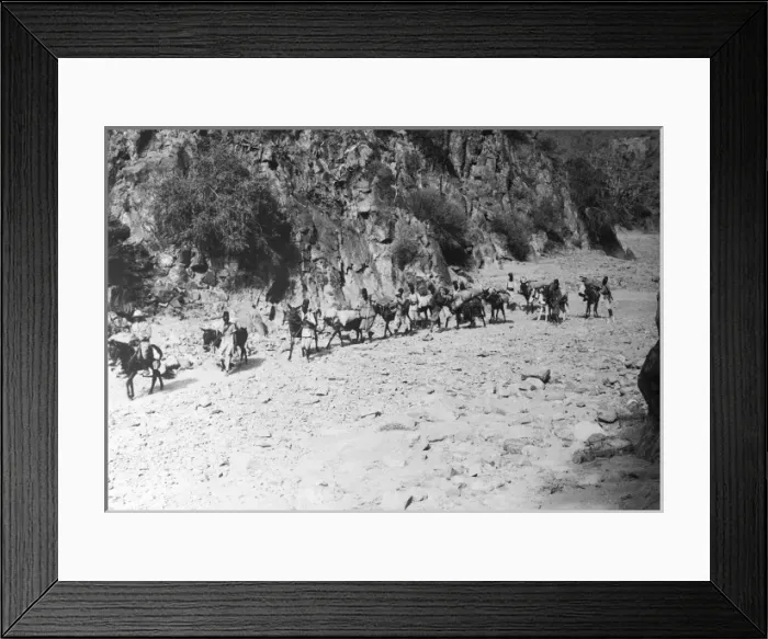 Framed Print : A Mule Caravan Framed Print : A Mule Caravan