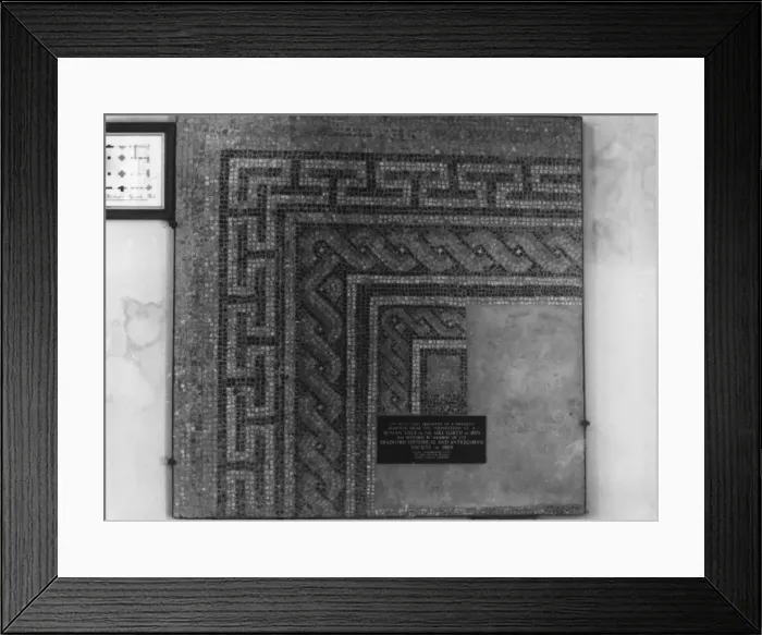Framed Print : Roman Mosaic Framed Print : Roman Mosaic