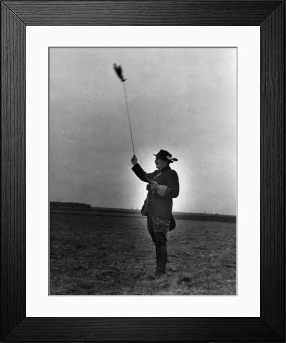 Framed Print : Falconry : Flying Framed Print : Falconry : Flying