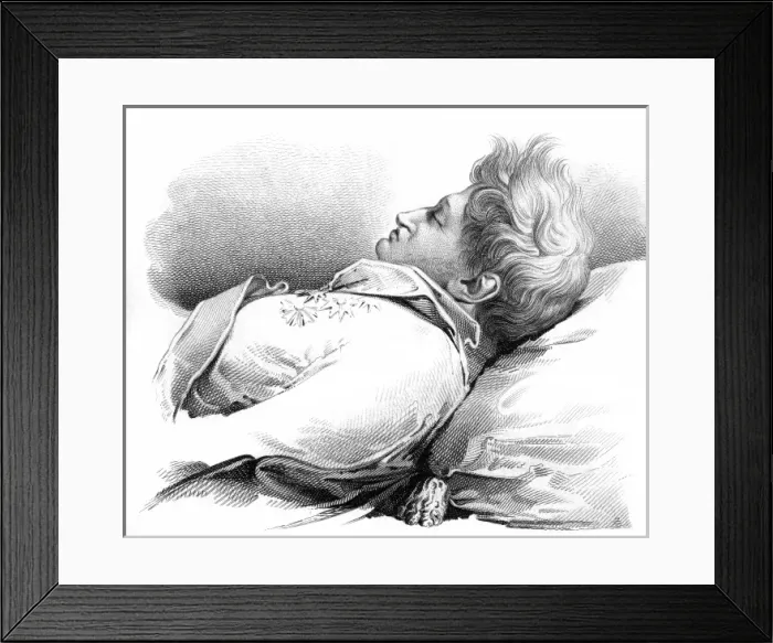 Framed Print : Ferdinand Bubna-Littiz Framed Print : Ferdinand Bubna-Littiz