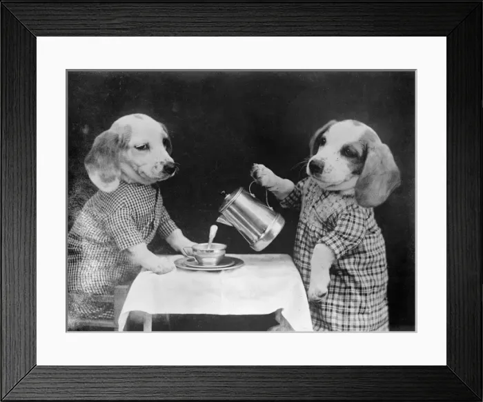 Framed Print : Doggy Coffee Break Framed Print : Doggy Coffee Break