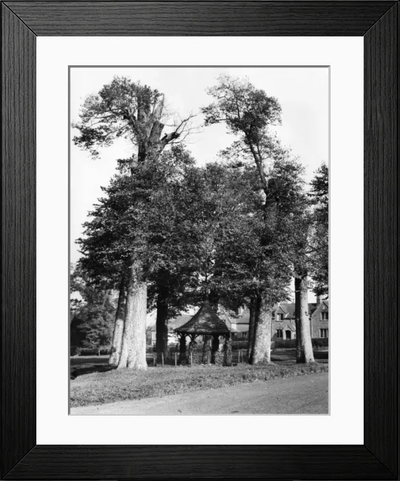 Framed Print : England / Chenies Framed Print : England / Chenies