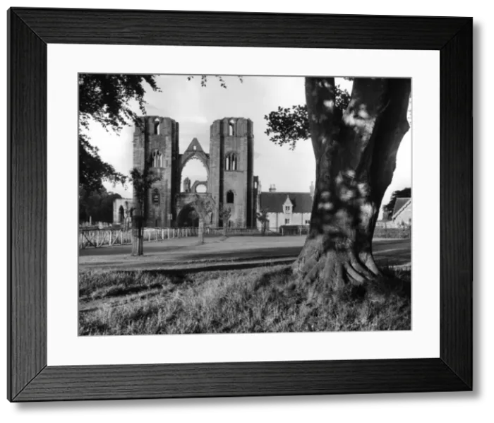 Framed Print : Elgin Cathedral Framed Print : Elgin Cathedral