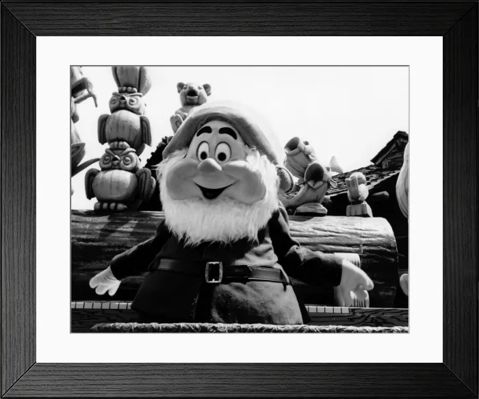 Framed Print : Disneyworld, Florida Framed Print : Disneyworld, Florida