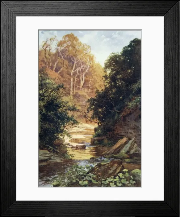 Framed Print : Hayburn Wyke Framed Print : Hayburn Wyke